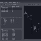 AVIN Terminal